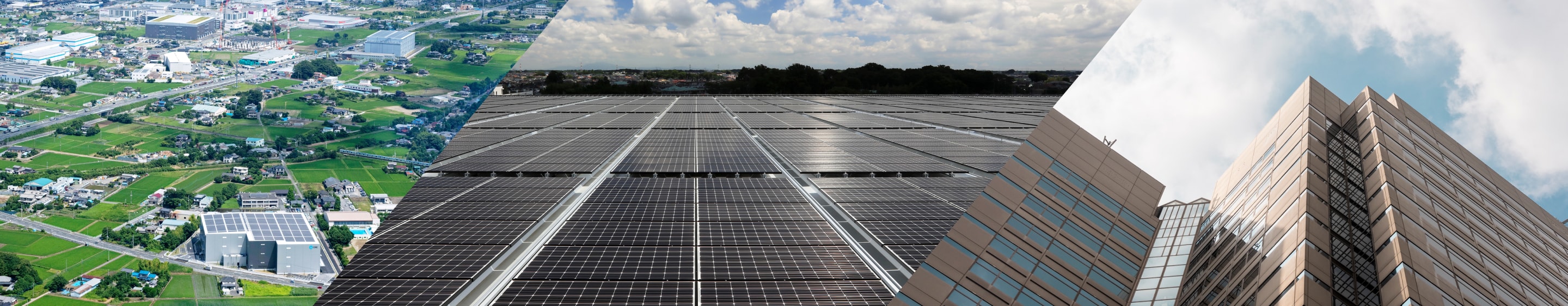 Sustainability Cre Inc Sustainability Cre Inc